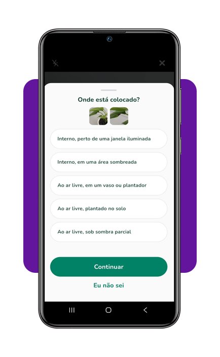 Cuidar de plantas em casa