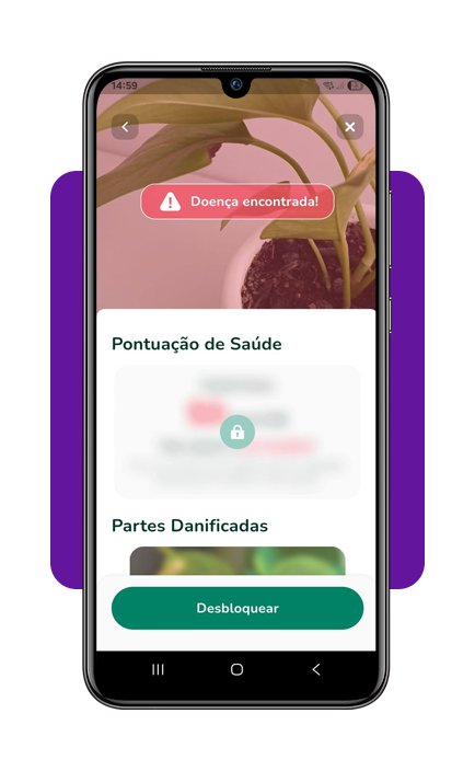 Cuidar de plantas em casa