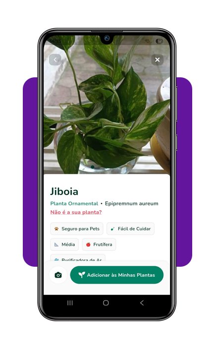 Cuidar de plantas em casa