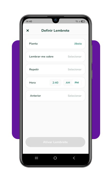 Cuidar de plantas em casa