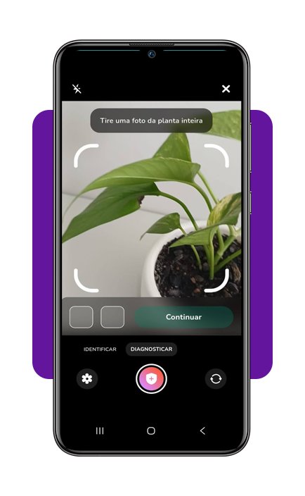 Cuidar de plantas em casa