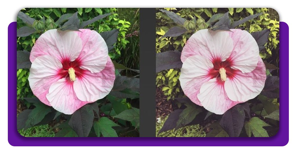 Filtros do Instagram