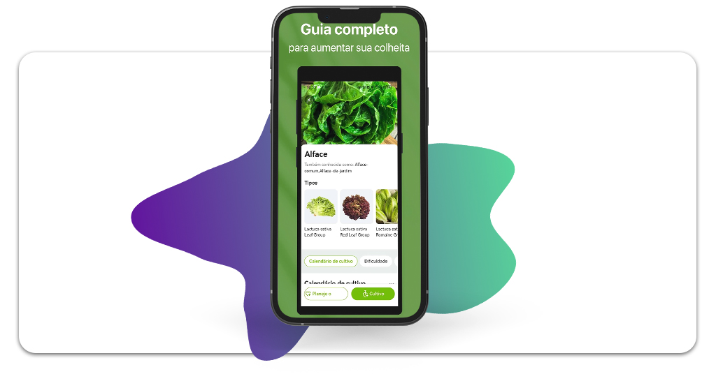 Saiba o que plantar na horta de casa conforme o clima da sua cidade 3 O que plantar na horta de casa