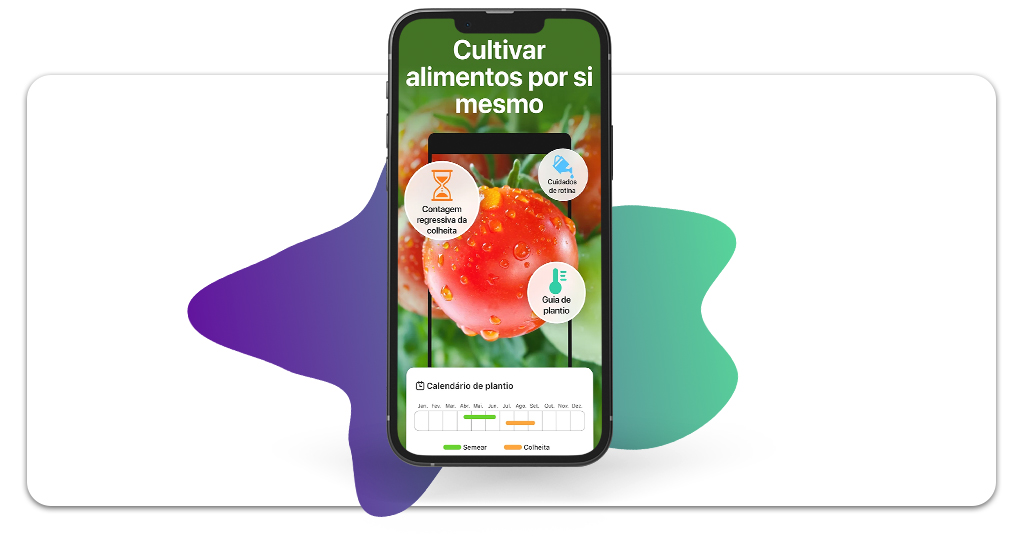 Saiba o que plantar na horta de casa conforme o clima da sua cidade 4 O que plantar na horta de casa
