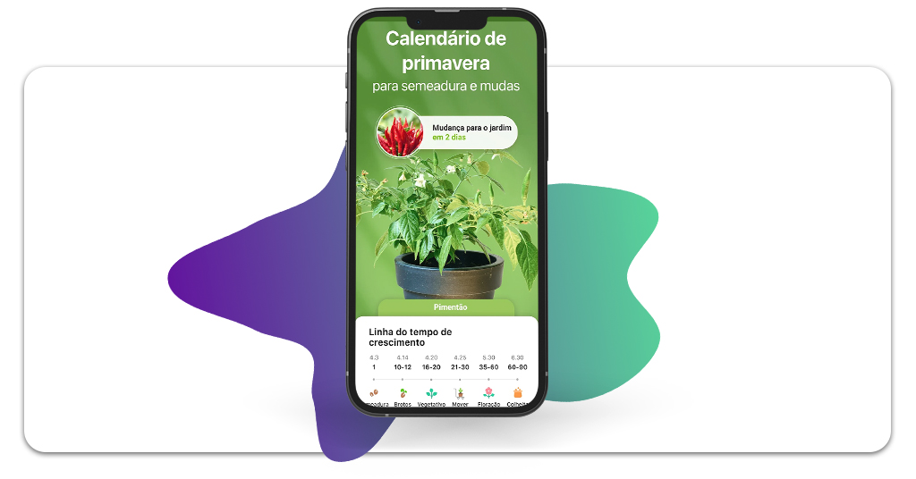 Saiba o que plantar na horta de casa conforme o clima da sua cidade 5 O que plantar na horta de casa