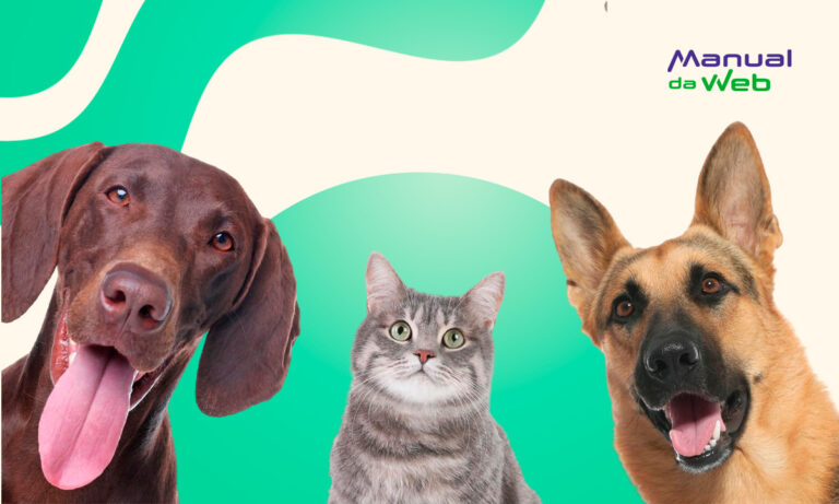 Renda extra cuidando de pets