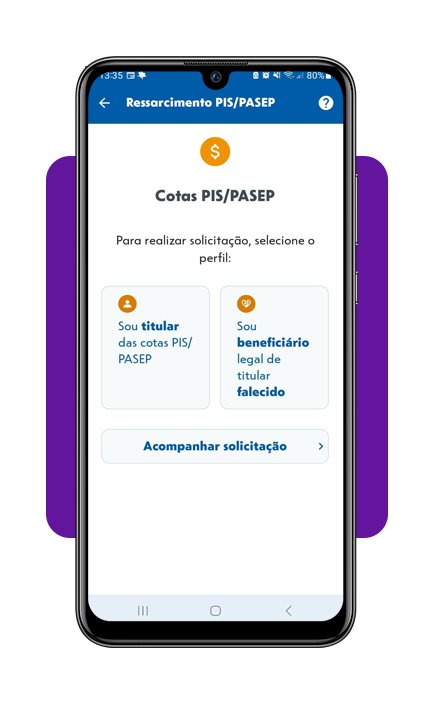 Consultar valores antigos do PIS/PASEP