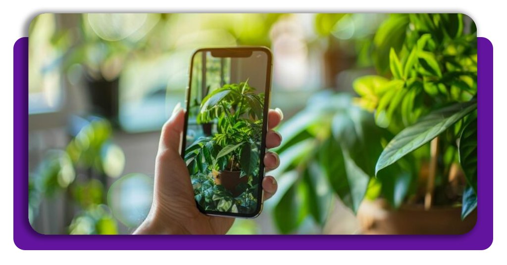 Baixe o app que identifica doenças e cuida da saúde das plantas 2 Saúde das plantas