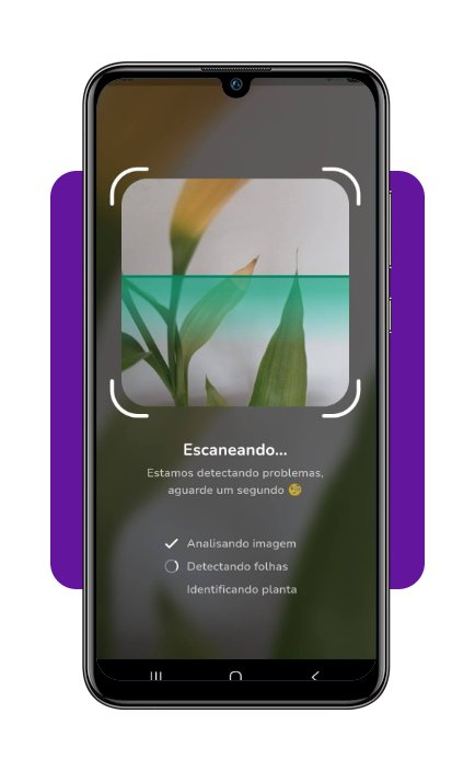 Baixe o app que identifica doenças e cuida da saúde das plantas 4 Saúde das plantas