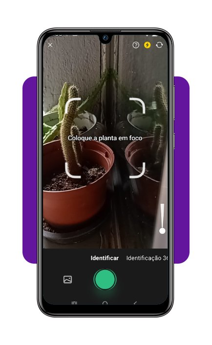 Identificar plantas flores app corpo 1