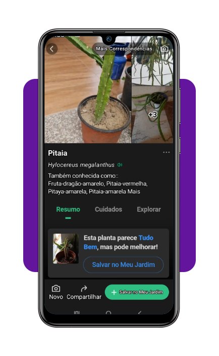 Identificar plantas flores app corpo 2