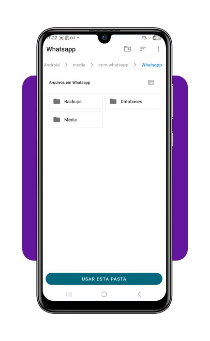 Limpar WhatsApp app corpo 3