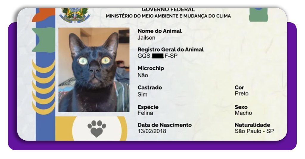 SinPatinhas permite criar documentos de identificação para animais de estimação, como cães e gatos, aumentando a segurança dos bichinhos.