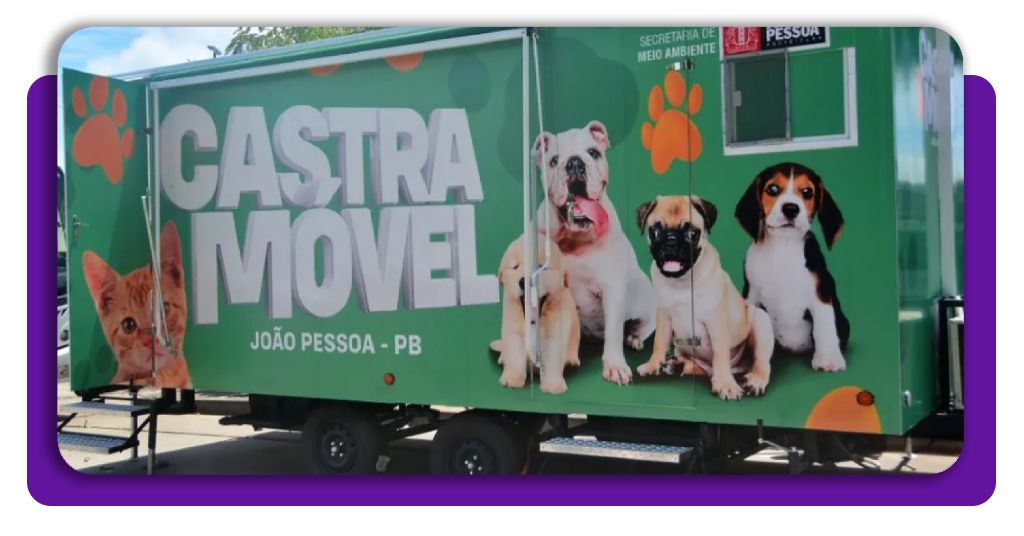Castramóvel: como agendar a castração gratuita no seu bairro 2 IMG 7269 02
