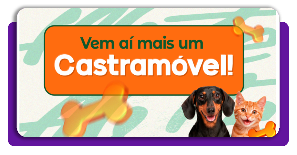 Castramóvel: como agendar a castração gratuita no seu bairro 4 IMG 7269 04