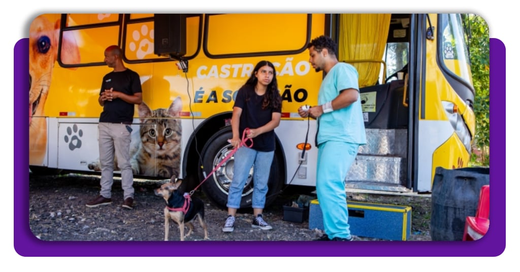Serviço de castramóvel: agende cirurgia grátis para seu pet 4 IMG 9510 04
